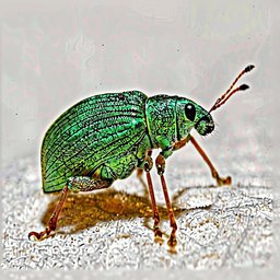 Flux.1 Kontext output